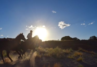 Photo of 10 + acre Horse Properties for sale in Santa Fe