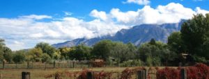 homes for sale in corrales